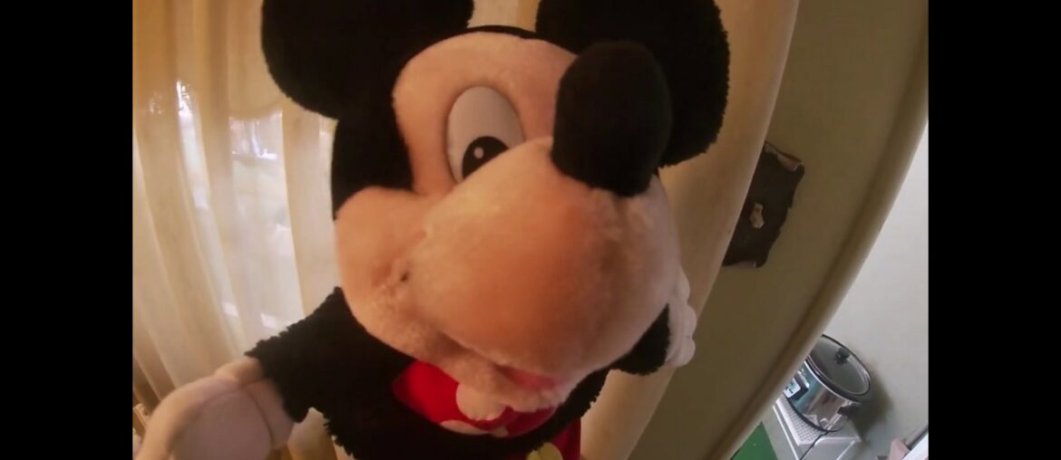 Oodles The French Poodle will NOT be eating his Easter Dinner at Disneyland this year as planned!