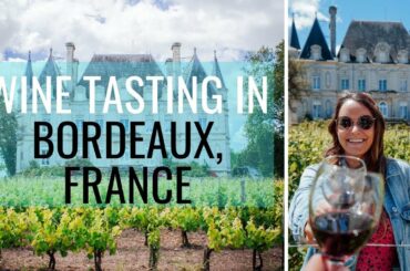 Wine Tasting in Bordeaux // FRANCE