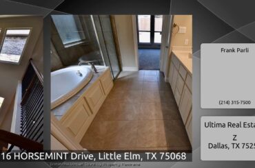 1216 HORSEMINT Drive, Little Elm, TX 75068