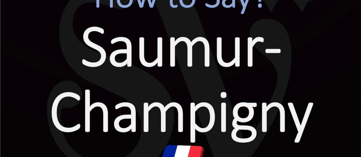 Saumur Champigny Saumur Champigny