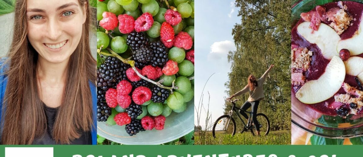 POLAND VLOG 🇵🇱Homemade wine tutorial (vegan and organic) 🍇 POLAND VLOG 🇵🇱Homemade wine tutorial (vegan and organic) 🍇