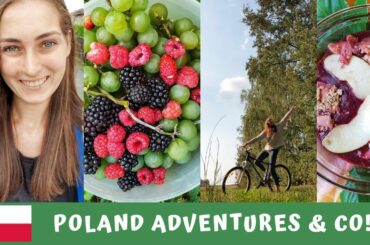 POLAND VLOG 🇵🇱Homemade wine tutorial (vegan and organic) 🍇
