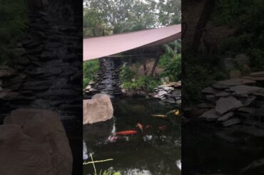 Laura Coffey Shares an Amazing Pool Home for Sale in Santa Clarita, CA