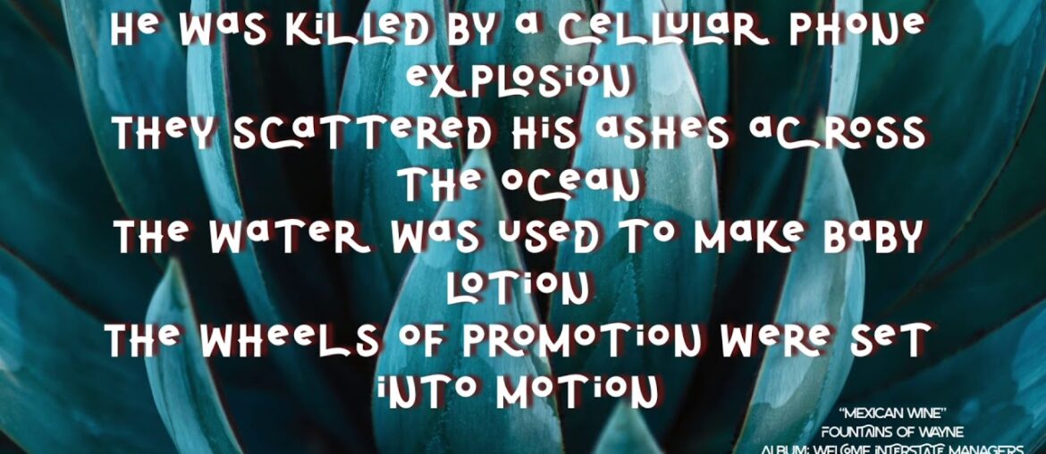 MEXICAN WINE lyrics 1080p60 • Fountains of Wayne • Adam Schlesinger R.I.P.