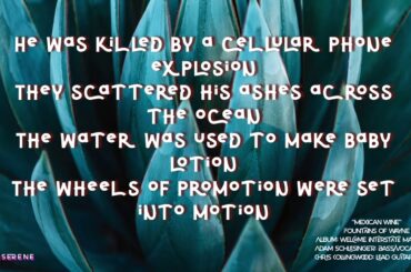 MEXICAN WINE lyrics 1080p60 • Fountains of Wayne • Adam Schlesinger R.I.P.