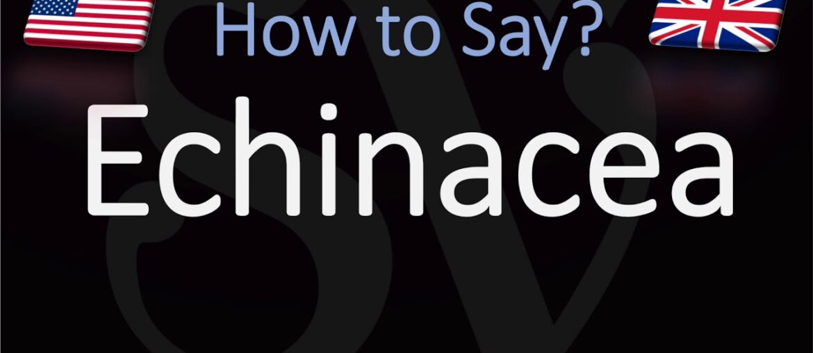How to Pronounce Echinacea? (CORRECTLY)