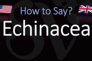 How to Pronounce Echinacea? (CORRECTLY)