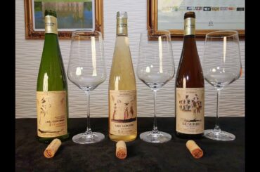 Hong Kong Wine Club 選酒頻道 ~ 第四集 世界第一款法國米釀葡萄酒 Lou Guichou