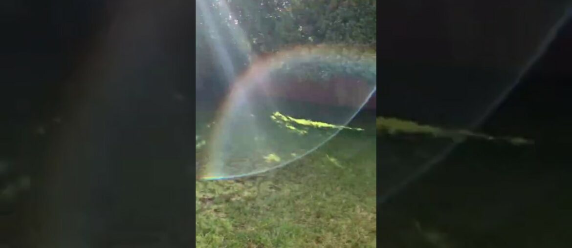 25 Peterleigh Grove, Essendon