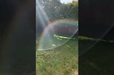 25 Peterleigh Grove, Essendon