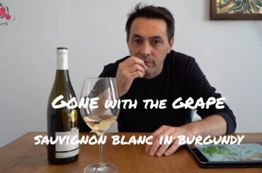 1. Gone with the Grape - Sauvignon Blanc in Burgundy