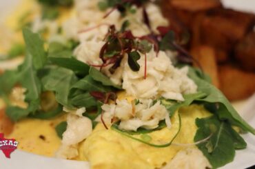 The Texas Bucket List - NOLA in San Antonio