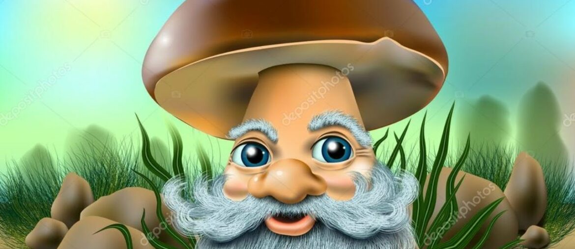 LIVE! It's Passover Mushroomy Madness in the Shelter! LIVE! It's Passover Mushroomy Madness in the Shelter!