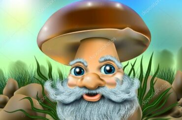 LIVE! It's Passover Mushroomy Madness in the Shelter!