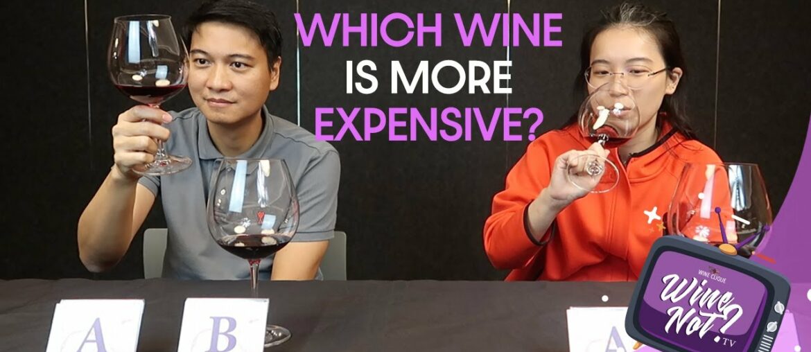 Wine Not TV: Which wine is more expensive?