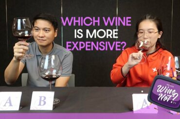 Wine Not TV: Which wine is more expensive?