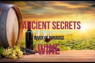 Ancient Secrets : Wine , 酒 , Vino