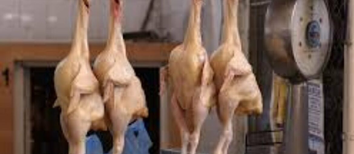 CHICKEN RECIPES | CHINESE FOOD | TANDOORI CHICKEN | FRENCH FRIES | BREAKFAST RECIPES | 2020 | INDIA. CHICKEN RECIPES | CHINESE FOOD | TANDOORI CHICKEN | FRENCH FRIES | BREAKFAST RECIPES | 2020 | INDIA.