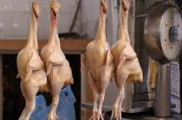 CHICKEN RECIPES | CHINESE FOOD | TANDOORI CHICKEN | FRENCH FRIES | BREAKFAST RECIPES | 2020 | INDIA.