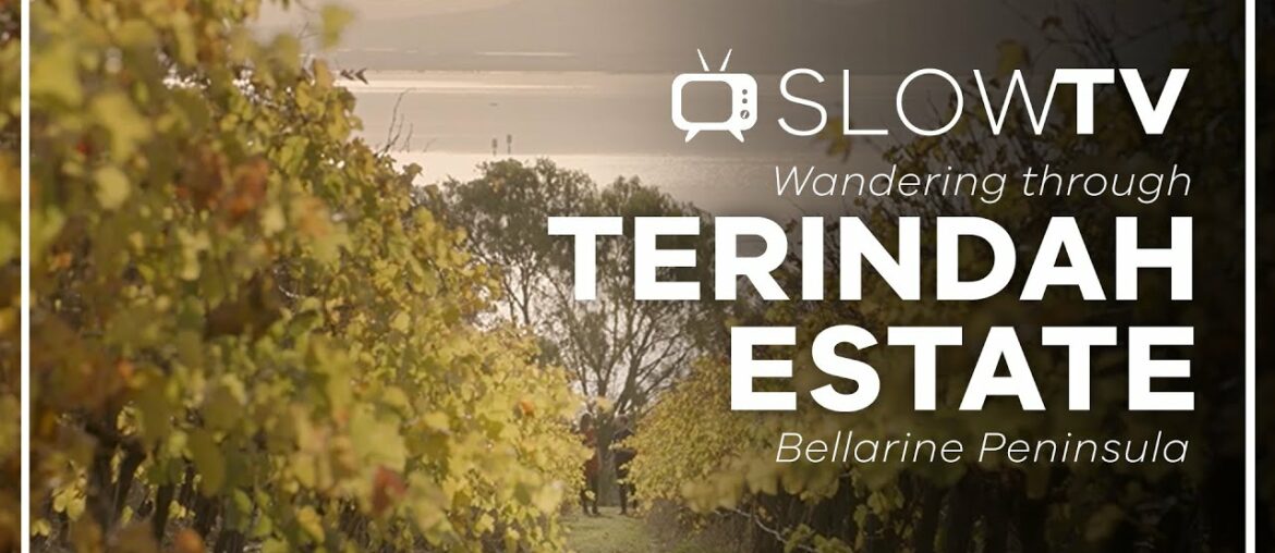 SLOW TV | Wander Terindah Estate - The Bellarine Peninsula (Victoria, Australia)