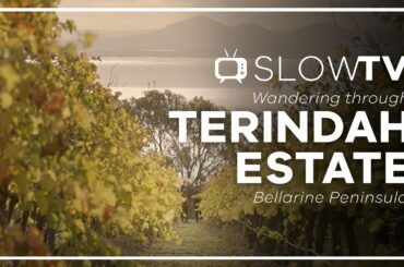 SLOW TV | Wander Terindah Estate - The Bellarine Peninsula (Victoria, Australia)