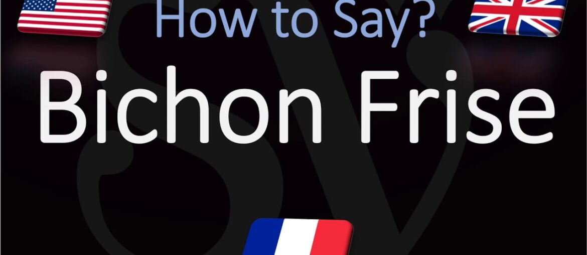 How to Pronounce Bichon Frisé? (CORRECTLY) English, French Dog Breed Pronunciation How to Pronounce Bichon Frisé? (CORRECTLY) English, French Dog Breed Pronunciation