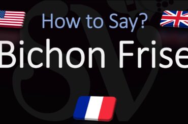 How to Pronounce Bichon Frisé? (CORRECTLY) English, French Dog Breed Pronunciation