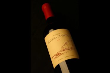 Confinement 14 - Nicolas Catena Zapata