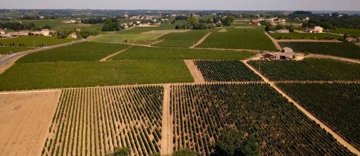 Take a tour of Château Trotte Vieille Take a tour of Château Trotte Vieille