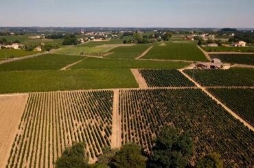 Take a tour of Château Trotte Vieille