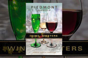 Wine Masters: Piedmont