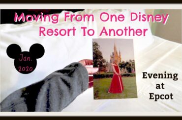 What we like about Disney's Wilderness Lodge | Port Orleans French Quarter Arrival