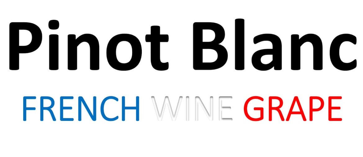 How to Pronounce Pinot Blanc? French Wine Grape Pronunciation