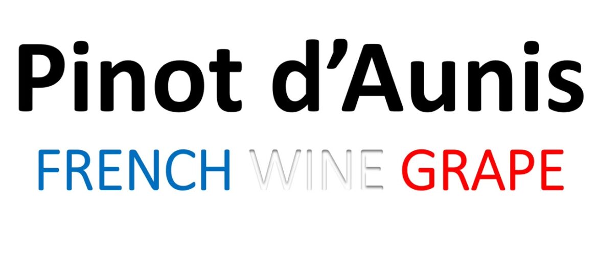 How to Pronounce Pinot d'Aunis? French Wine Grape Pronunciation How to Pronounce Pinot d'Aunis? French Wine Grape Pronunciation