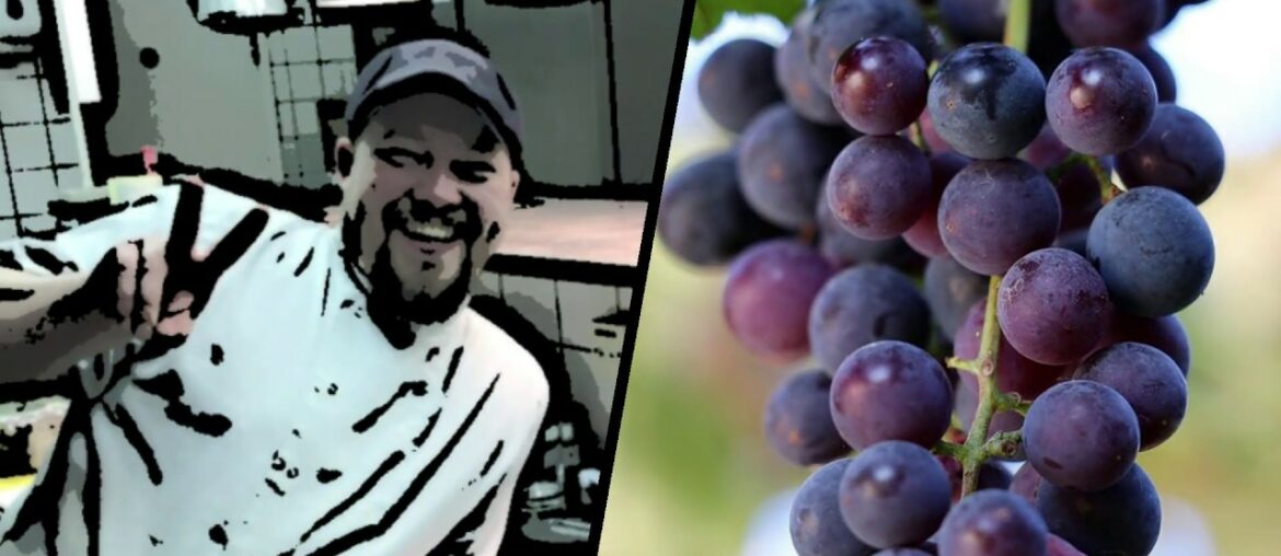 How To Make Wine! Homemade Grape Wine! Healthy!