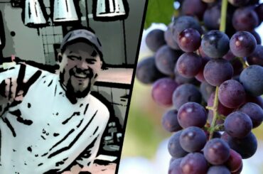How To Make Wine! Homemade Grape Wine! Healthy!