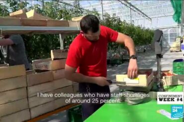 Refugees in France come to rescue as farmers struggle without foreign seasonal workers