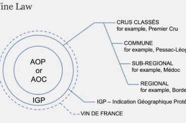Bordeaux - National Tasting Talk