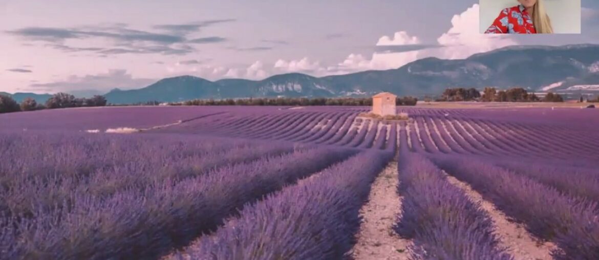 Rosé All Day Webinar Rosé All Day Webinar