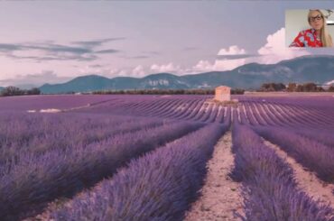 Rosé All Day Webinar