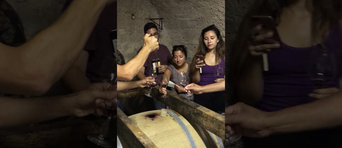 Sampling Wine in a 100+ Year Cellar in Southern France