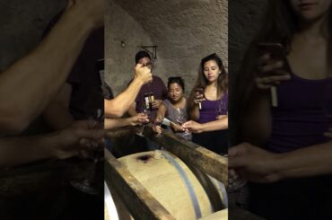 Sampling Wine in a 100+ Year Cellar in Southern France