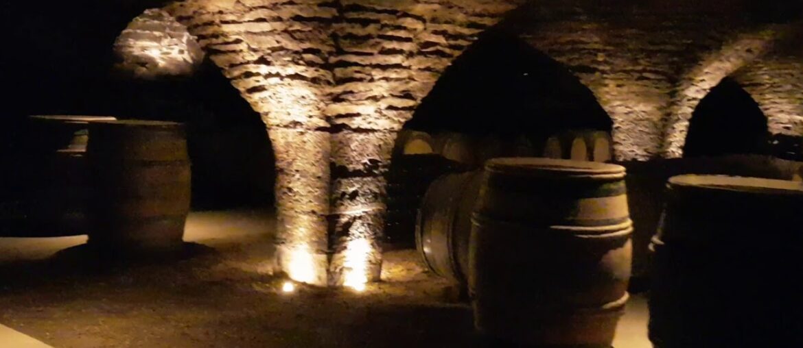 My 3rd French 🍷 tour .