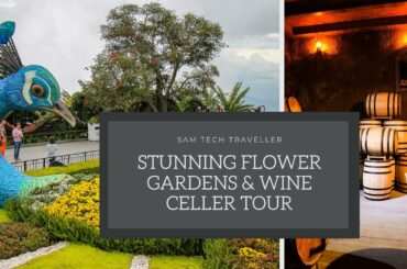 BEAUTIFUL FLOWER GARDEN & WINE CELLER TOUR BANA HILLS VIETNAM MUST SEE PLACE அழகான பூக்கள்-தமிழ்
