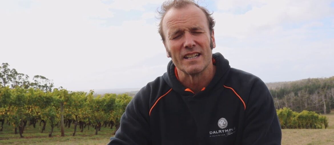 Digging in the Dirt: Tour Dalrymple Winery