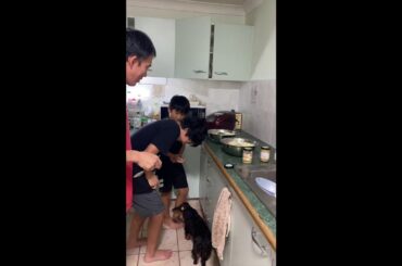 GYOZA making with Kids on the weekend