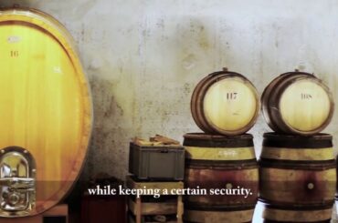 Domaine Pierre Gelin