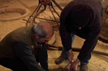 Wine War: French vs Australian