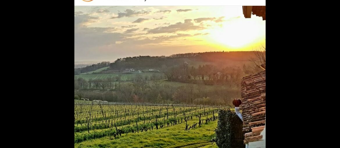 Vineyard Chat with Caro Feely of Chateau Feely in Bergerac, France