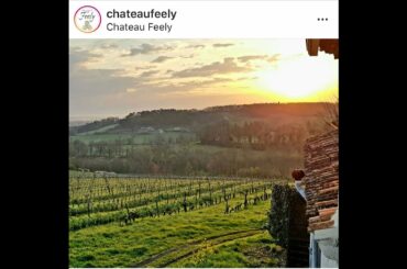 Vineyard Chat with Caro Feely of Chateau Feely in Bergerac, France